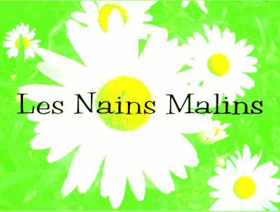 logo Les Nains Malins